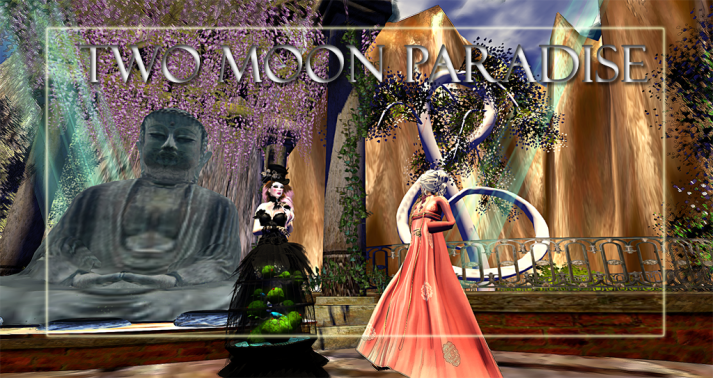 Come explore all the wonderful venues at Two Moon Paradise and try out the camera features like depth of field. Please share your photos with us on Flickr, Google + and Facebook #TwoMoonParadise
