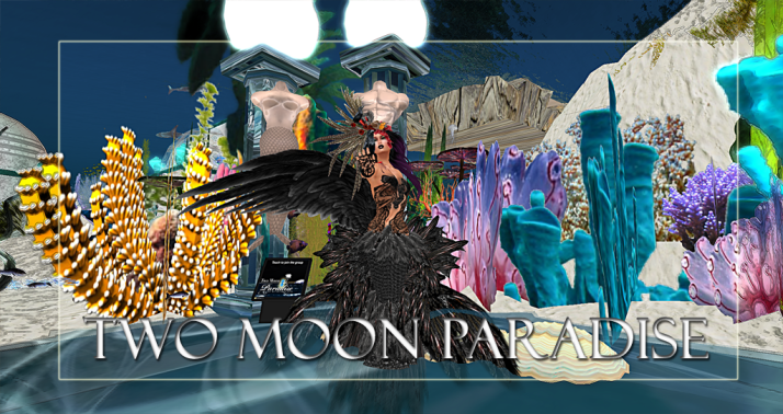 Two Moon Paradise has themed contests for both Mers and Landwalkers weekly. Come Explore The New Mer Cave Area