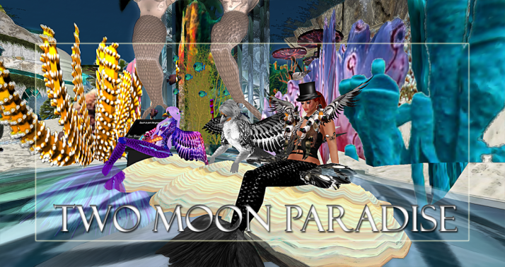 Winners Xenobia, Balinor and DeeDee Two Moon Paradise has themed contests for both Mers and Landwalkers weekly. Come Explore The New Mer Cave Area